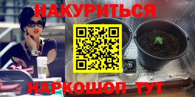 амф Ливны