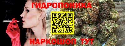 ALPHA PVP Лесосибирск
