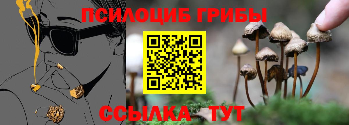Ижевск  Псилоцибиновые грибы Psilocybine cubensis  Вход с VPN 